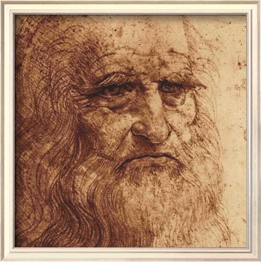 Self Portrait detail - Leonardo Da Vinci Painting